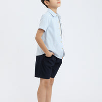 Ezra Button Shirt In Blue Stripes