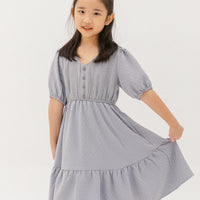 Caylee Embroidered Eyelet Dress In Grey