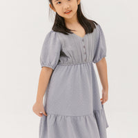 Caylee Embroidered Eyelet Dress In Grey