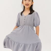 Caylee Embroidered Eyelet Dress In Grey